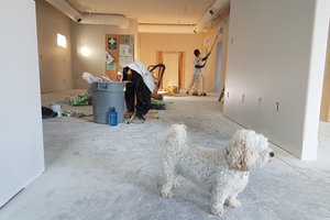 REPAIR & RENOVATE